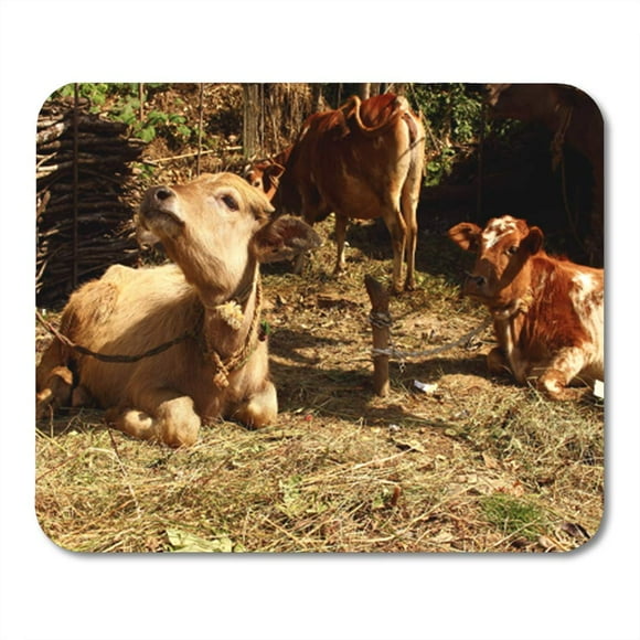 POGLIP Funny Cute Light Brown Calf Big Ears and Two Mousepad Mouse Pad Mouse Mat 9x10 inch