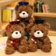 thumbnail image 2 of Muñeco de peluche de oso con sombrero de doctor Muñeco de oso de doctor para graduación Regalo conmemorativo de la temporada de graduación, 2 of 6