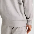 thumbnail image 5 of Champion Adult Sizing Iconic Embroidered Hoodie - Light Gray Heather, 5 of 6