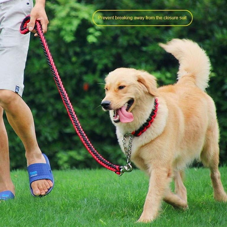 Choke rope cheap dog lead