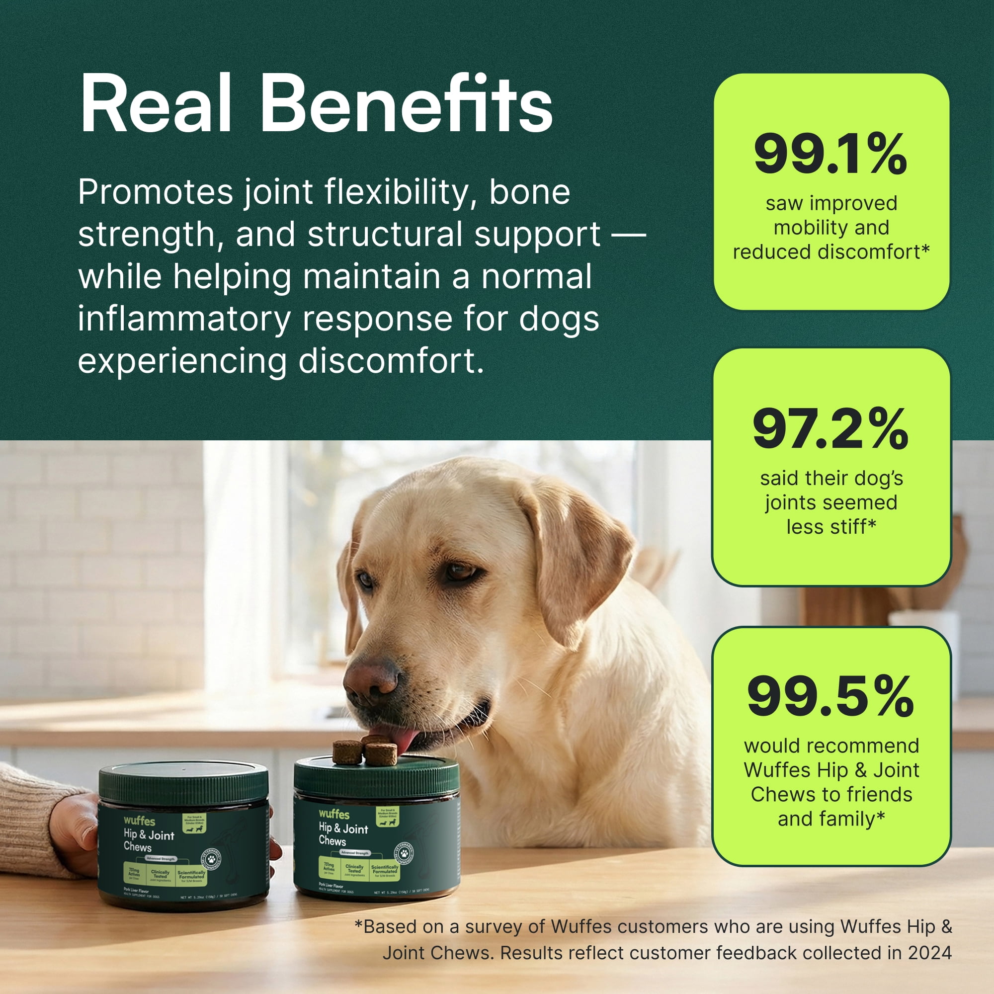 Advanced Dog Hip and Joint Supplement with Glucosamine, Chondroitin, Omega 3, MSM, and Green Lipped Mussel, 60 Pork Flavored Chews for Small and Medium Dog Breeds