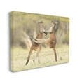 thumbnail image 4 of Stupell Industries Kangaroo Duo Photography Animals & Insects Photography Gallery Wrapped Canvas Art Print Wall Art, 20 x 16, 4 of 8