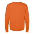 thumbnail image 2 of Hanes Ecosmart Crewneck Sweatshirt, 2 of 4