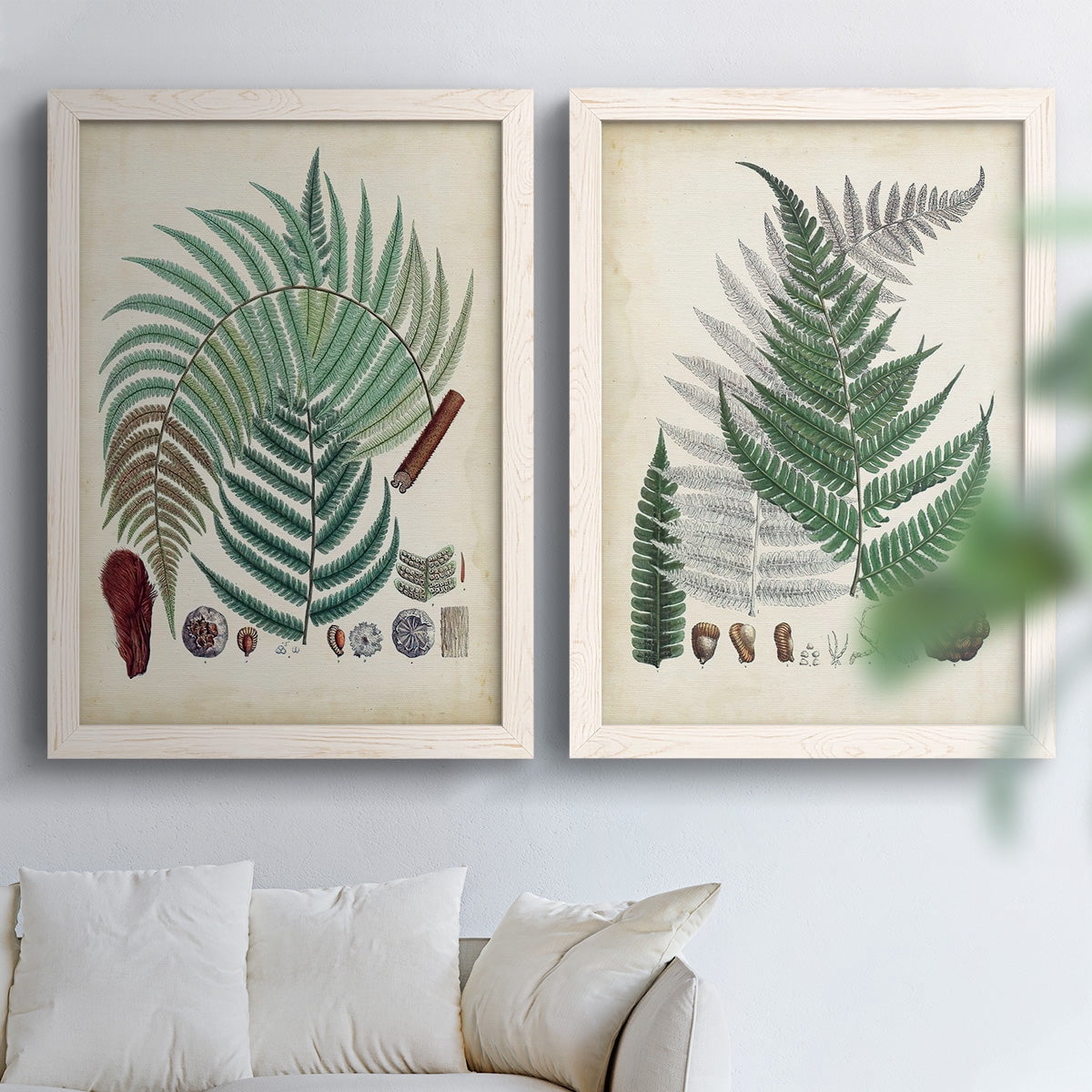 Collected Ferns I - Premium Framed Canvas 2 Piece Set - Ready to Hang