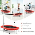 thumbnail image 6 of Goplus Trampoline Foldable Rebouncer with Adjustable Handrail, Red, 59.50" x 35.50" x 52.00", 6 of 11