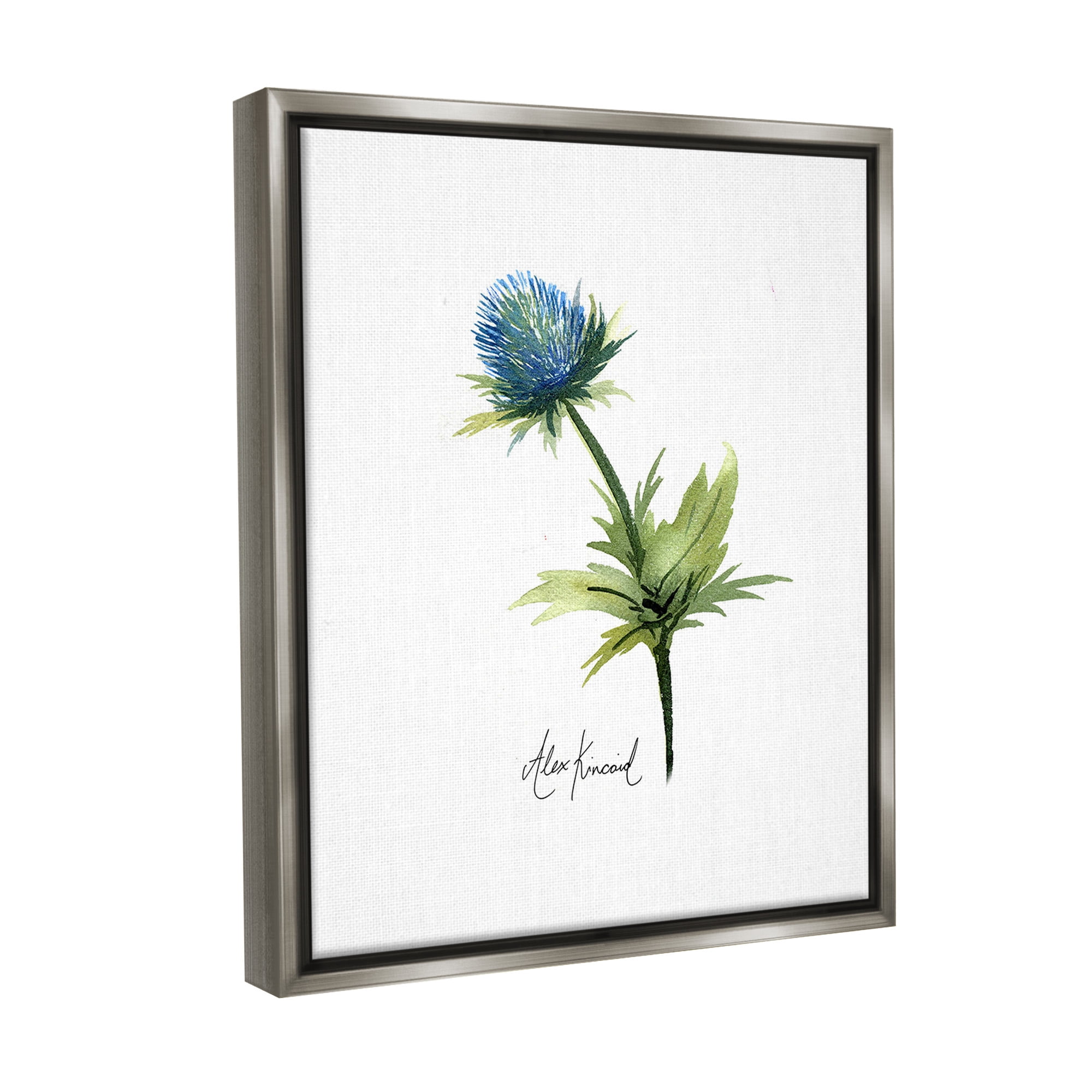 Stupell Industries Simple Thistle Watercolor Botanical & Floral Painting Gray Floater Framed Canvas Art Print Wall Art, 25 x 31