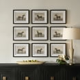 thumbnail image 2 of Uttermost Equine Dynasty Framed Prints in Multi-Color (Set of 9), 2 of 4