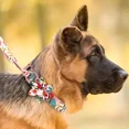 thumbnail image 4 of Accesorios Para Paseo Con Estampado Floral Para Perro Y Gato Color Azul claro Tamaño del collar Chico, 4 of 6