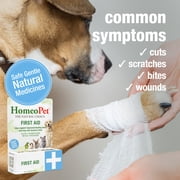 HomeoPet FIRST AID, Oral Wound Care Support Drops for Pets, 15 mL