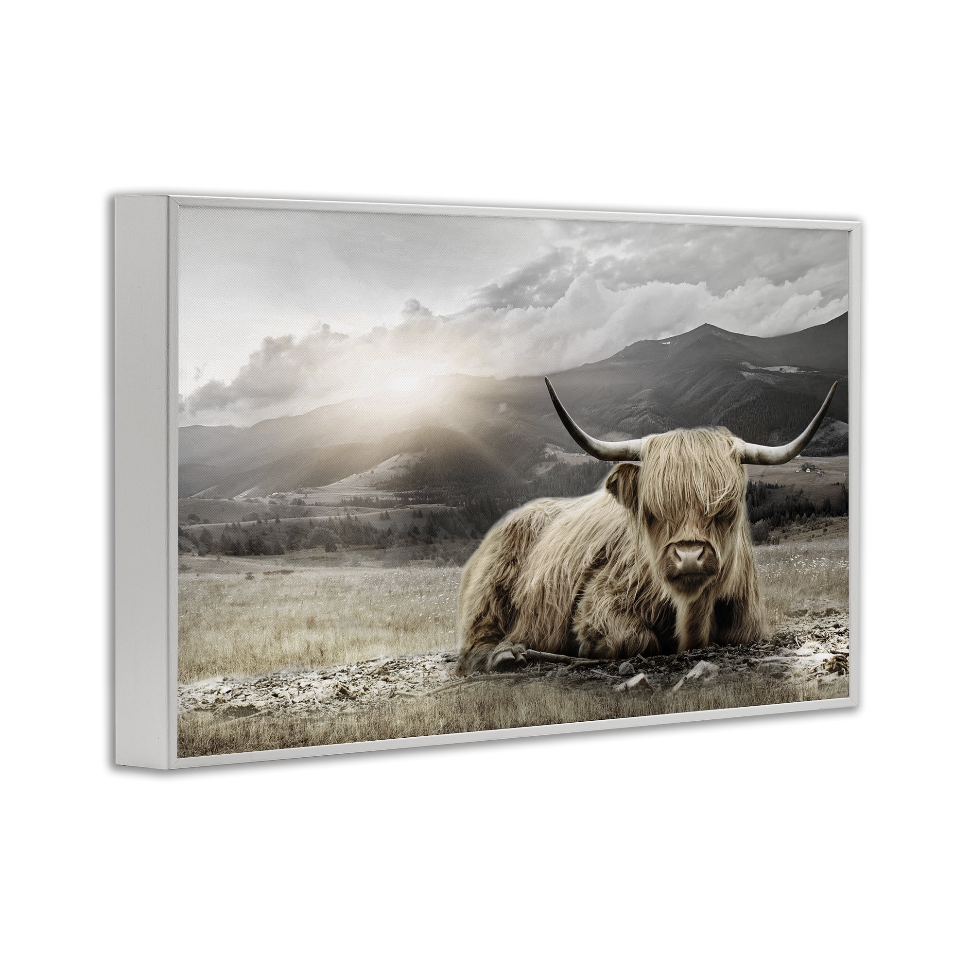Stupell Industries Cattle Resting in Morning Sun White Framed Giclee Art, design by CAD Designs