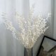 thumbnail image 5 of Flores de Ruscus Secas para Siempre de 45Cm DecoracióN Floral DIY Ramo de Flores Secas para DecoracióN del Hogar de Boda, 5 of 5