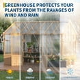 thumbnail image 5 of Gaderth Wooden Greenhouses for Outdoors, Wooden Walk-in Green House with  Roof Vent&Cedar Frame, Greenhouse Kit with 6MM Thick Polycarbonate Panel, 5 of 7