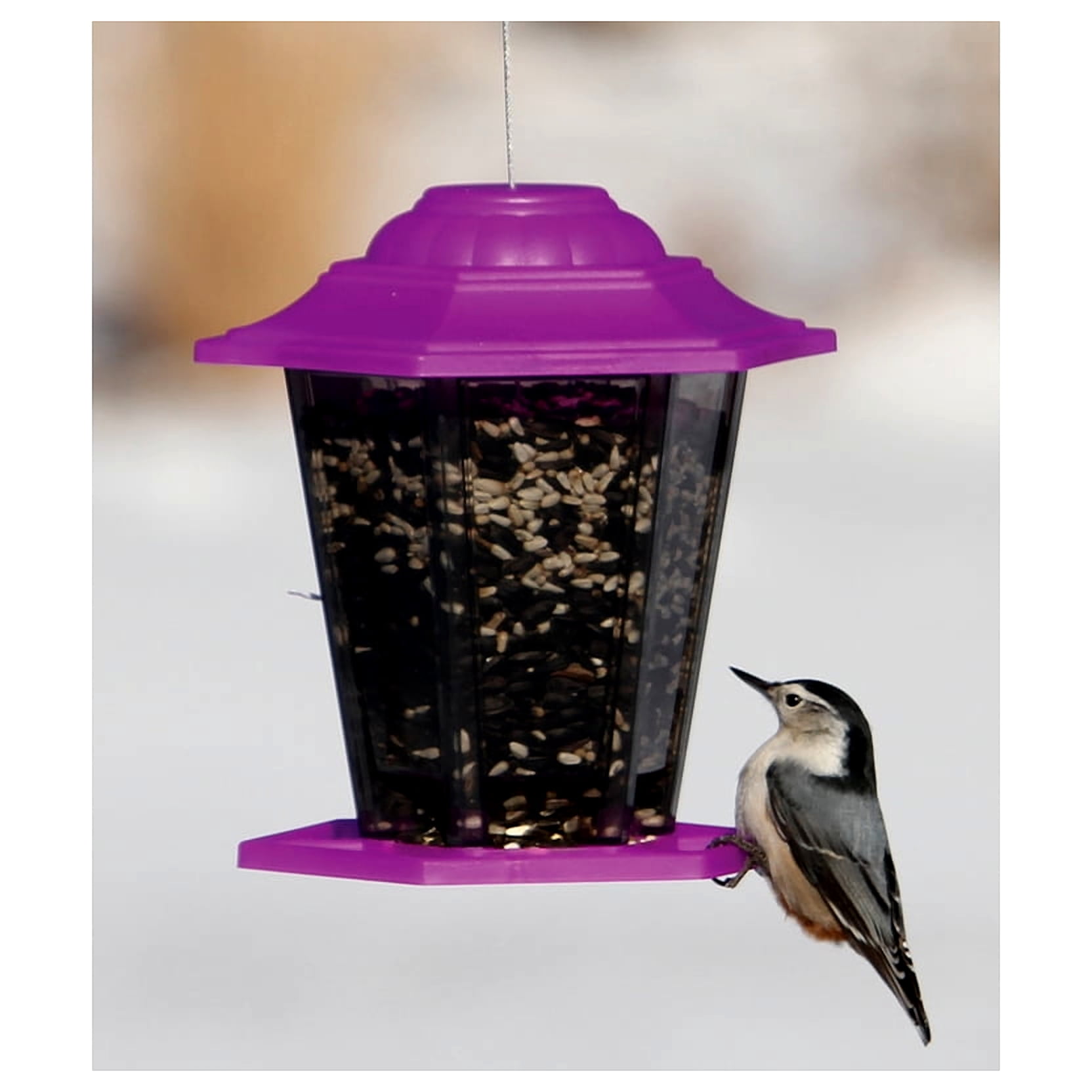 WOODLINK Mixed Seed Lantern Bird Feeder, Assorted Colors, 1.5 Lb. NA19971