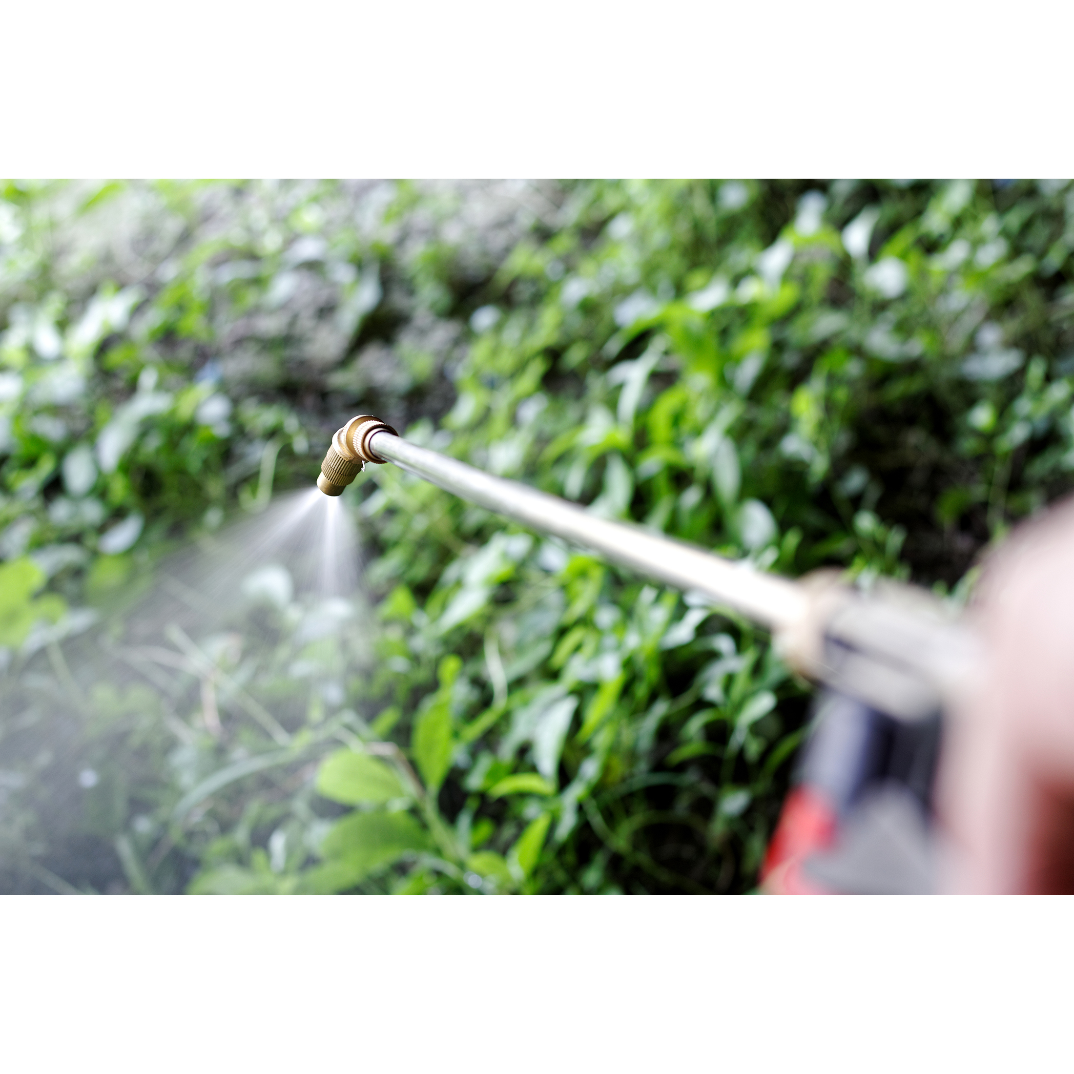 Southern Ag Crossbow Herbicide, Brush & Vegetation Killer 1 Quart - image 3 of 4