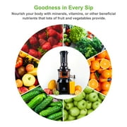 VENTRAY 809 Big Feeding Mouth, Large Chute, Masticating Juicer Black