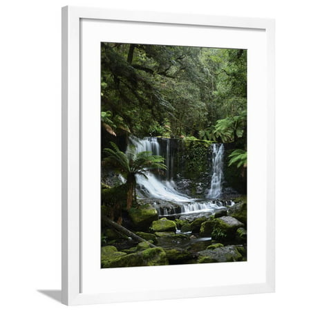 Horseshoe Falls, Mount Field National Park, UNESCO World Heritage Site, Tasmania, Australia Framed Print Wall Art By Jochen
