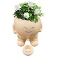 thumbnail image 1 of Subpatador Suculento Pot 12 Cm Dolly Home Garden Suministros, 1 of 9