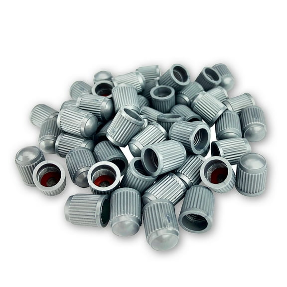 Pack of 50 Gray Valve Stem Caps with Inner Seal for All Schrader Type Valve Stems on Automotive, Truck, Trailer, Bicycle and Other Applications by TYK Industries