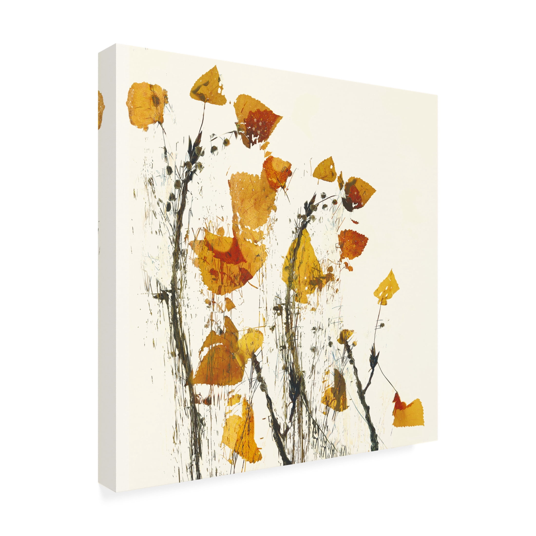 Trademark Fine Art Nel Talen Leaves still life Canvas Wall Art