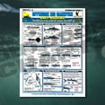 thumbnail image 6 of Bait Rigging Chart Set #1-7, 6 of 11