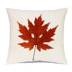 thumbnail image 1 of Fundas de almohada de otoño de 18 x 18, juego de 2, decorativas, para el día de Acción de Gracias, otoño, cocina, decoración del hogar, cojín para el porche, sofá, 1 of 5