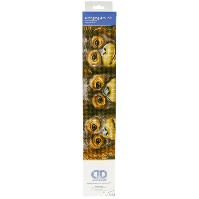 Diamond Dotz Trousse d'Art en Diamants 18,5 Pouces X 10,6 Pouces - Orientation Autour de DD8002