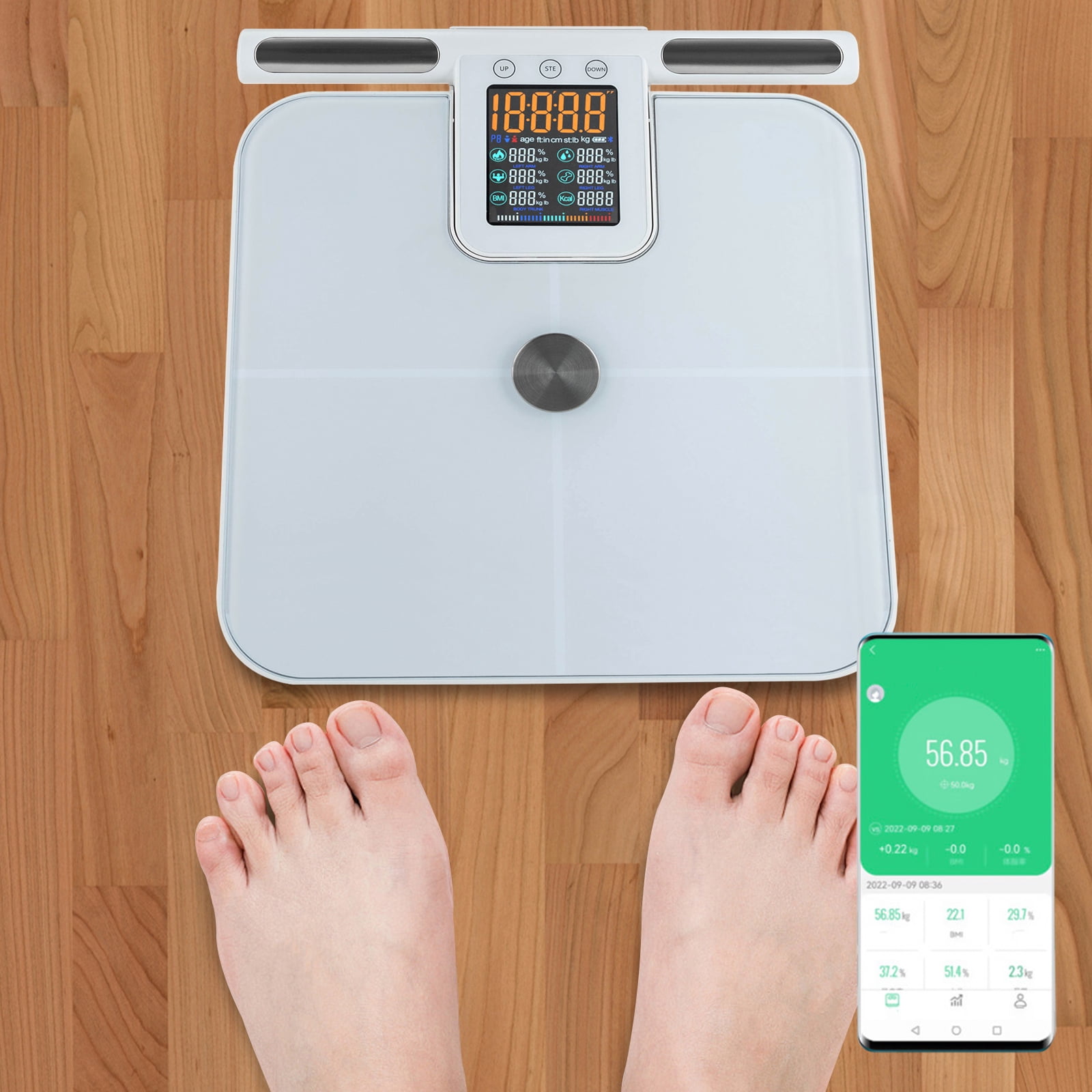 Wildnix Smart Body Fat Scale, Bluetooth Digital Display, Tempered Glass, Accurate 100g Precision, Weight Capacity 5-180kg, Modern Square Design for Home Health Tracking