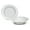 Blossom in White & Silver, variant on " OCCASIONS " 120 Pieces Pack, Heavyweight Disposable Wedding Party Plastic Plates (6.25'' Dessert/Bread Plate, Lace in White & Gold)