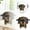 A, variante sur Ornement de Bureau Cadres en Bois pour Animaux, Mode et Créativité Parfaitement pour un Style Personnel Distinctif