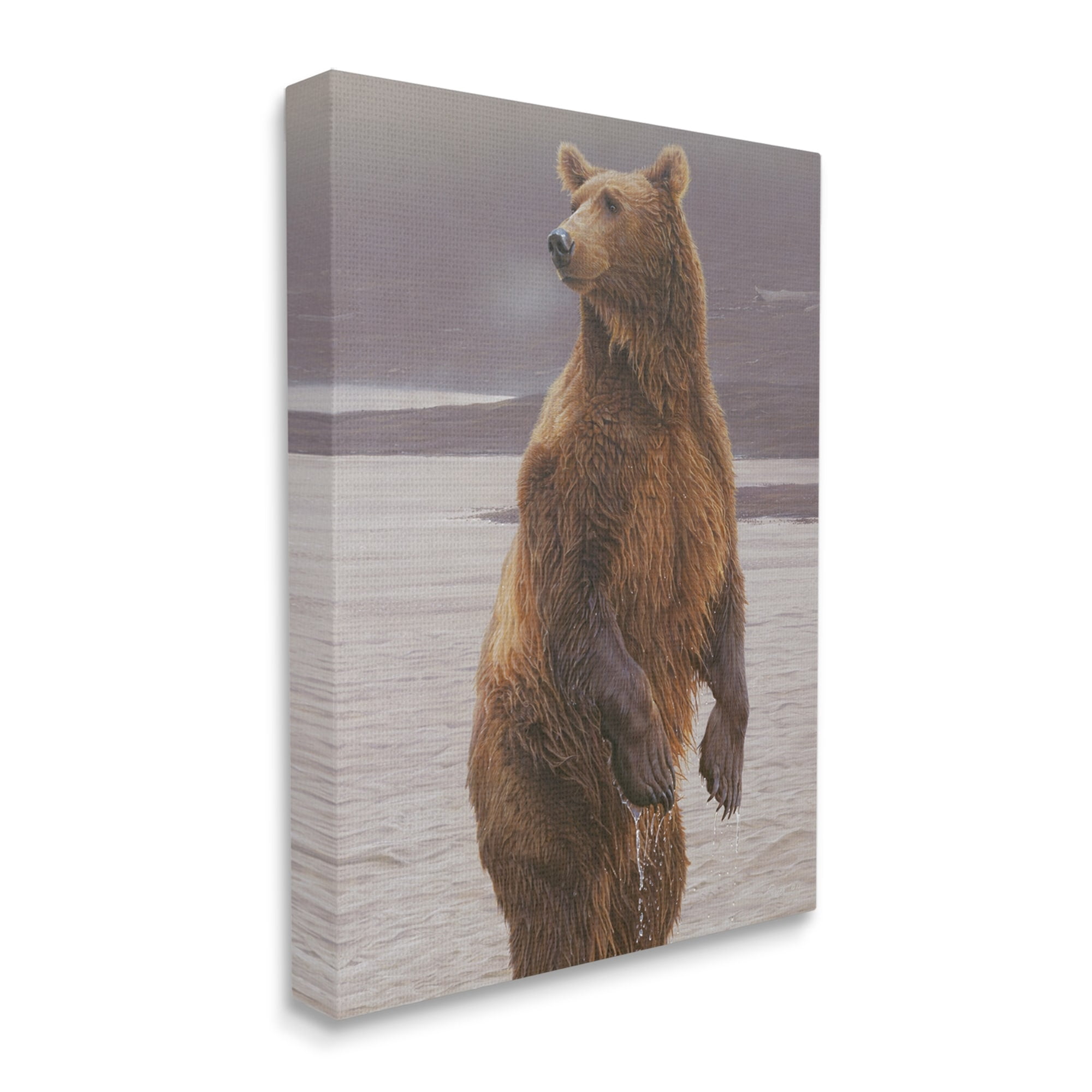 Stupell Industries Brown Bear Lake Water Splash Animals & Insects Painting Gallery Wrapped Canvas Print Wall Art