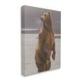 thumbnail image 3 of Stupell Industries Brown Bear Lake Water Splash Animals & Insects Painting Gallery Wrapped Canvas Print Wall Art, 3 of 5