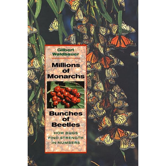Millions of Monarchs, Bunches of Beetles: How Bugs Find Strength in Numbers (Paperback)