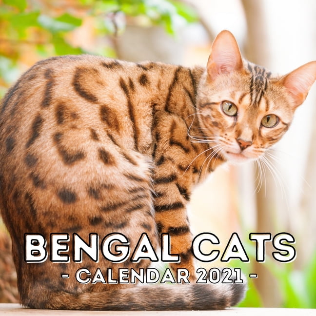 Bengal Cats 2021 Wall Calendar, Cute Gift Idea For Bengal Lovers Or