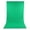 Green, variant on Zeiwohndc Photo Studio Non-Woven Backdrop Background for Photography Video 1.6x3m/5x10FT