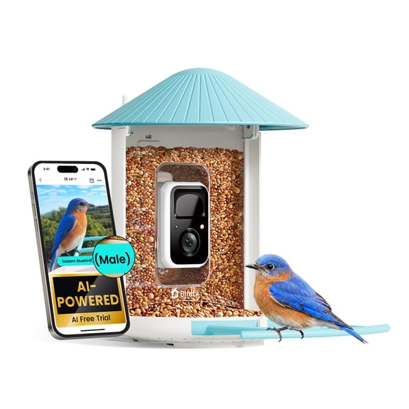 Birdfy Smart Bird Feeder with Camera for Bird Feeding and Watching - 1.5 lb Capacity, Blue