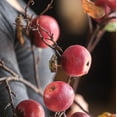 thumbnail image 5 of Faux Red Apple Branch Stem 36" Tall, 5 of 6