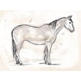 thumbnail image 3 of Vess, June Erica 24x19 Black Modern Framed Museum Art Print Titled - Vintage Equine Sketch II, 3 of 5