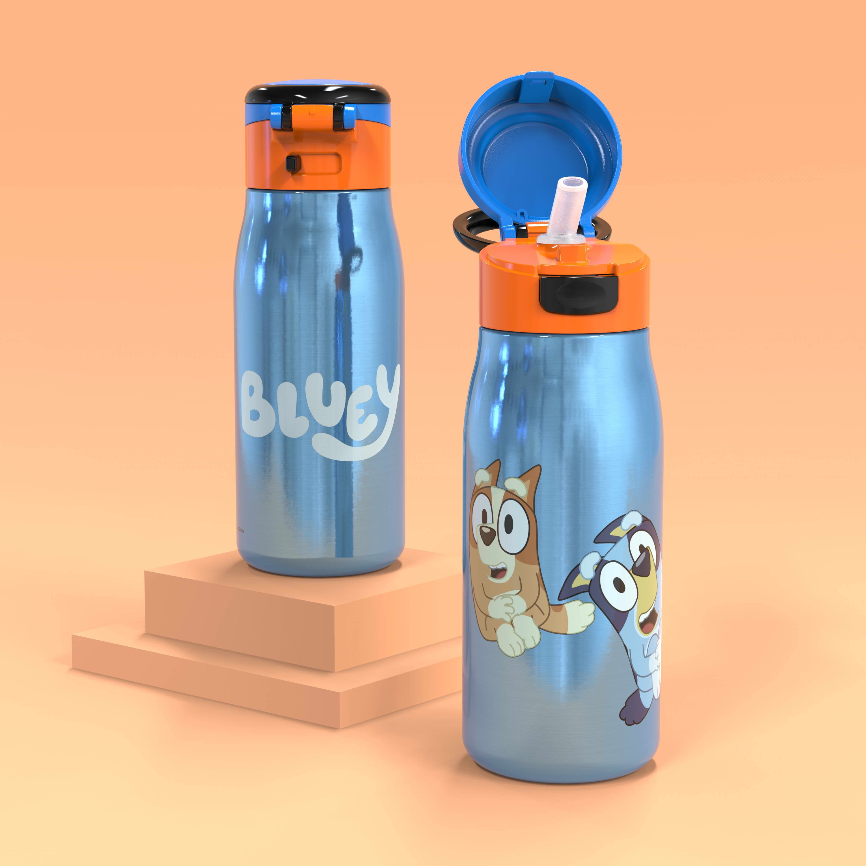Zak Designs Bluey 13.5 ounce Vacuum Insulated Stainless Steel Water Bottle, Bluey and Friends