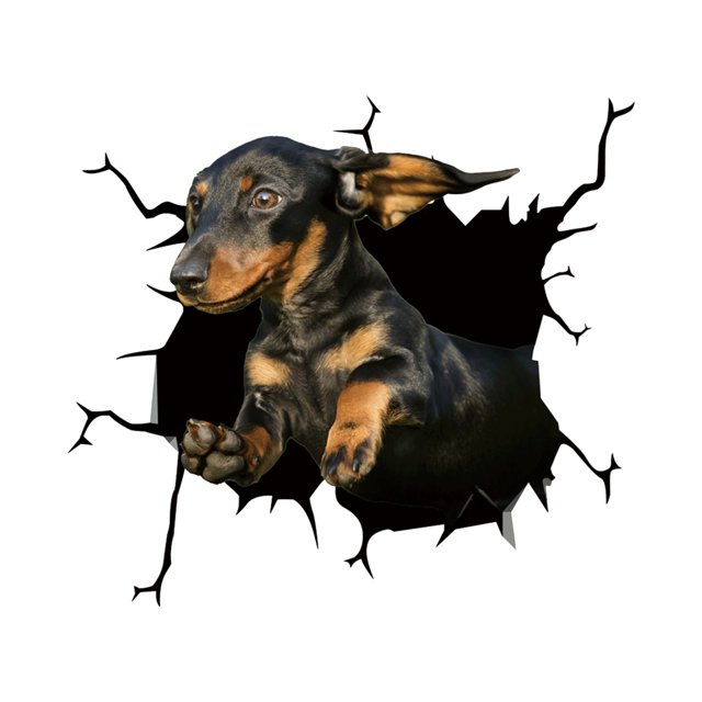 TIMIFIS Stickers Car Sticker Window Sticker Pet Lover Sticker Cars Crack Decal Walls Laptops Halloween Decorations - Fall