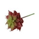 thumbnail image 3 of Artificial Suculenta Flor Plástica Flor Mini Lotus Decoración de Jardín Casa Zulema Las plantas suculentas artificiales, 3 of 5