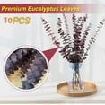 thumbnail image 3 of 10 Pcs Dried Eucalyptus Stems, Red Eucalyptus for Wedding,17'' Natural Fresh Eucalyptus Leaves Branches Hanging for Shower, 3 of 8