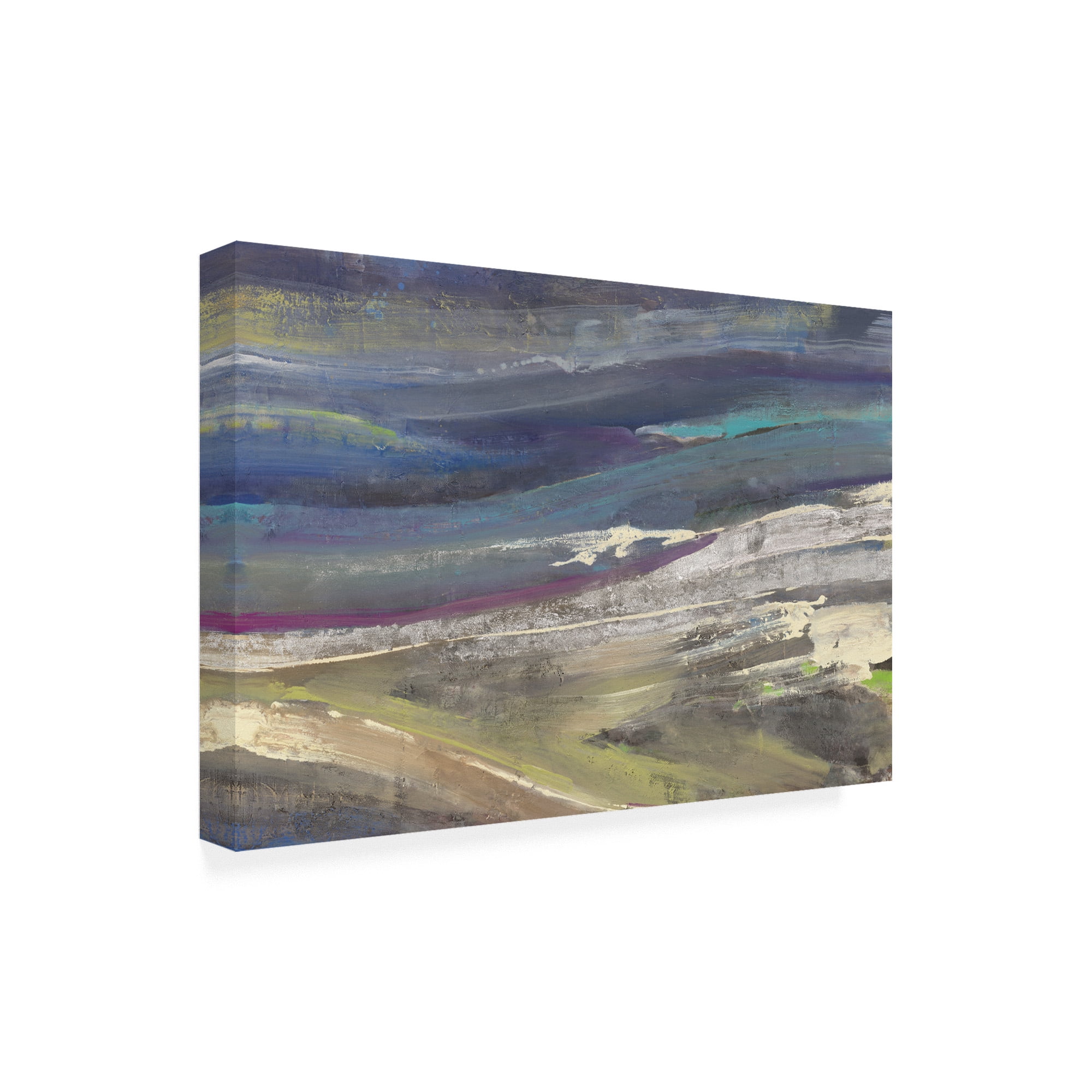 Trademark Fine Art 'Highlands Dark Blue' Canvas Art by Albena Hristova