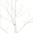 thumbnail image 6 of Vickerman 6' White Birch Twig Tree, Warm White 3mm Wide Angle LED lights., 6 of 7