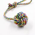 thumbnail image 2 of 2 Pack Dog Toy Ropes, Durable Chew Toy Dog Toy Ropes Teeth Cleaning for Dogs,Approx 40cm, 2 of 5