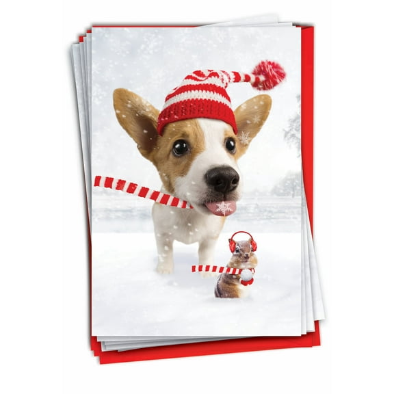 NobleWorks, Dog and Chipmunk Friends - 12 Funny Christmas Cards Boxed - Bulk Set, C7666XSG-B12x1
