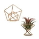 thumbnail image 2 of Soporte para plantas de piña Soporte geométrico para plantas de aire Soporte para esponjas en polvo - Oro rosa (Material: Metal, Tamaño: Diámetro 55 mm, Altura 45 mm), 2 of 5