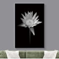thumbnail image 2 of wall26 Canvas Print Wall Art Blooming Water Lily Flower Close Up Nature Plants Photography Modern Art Rustic Scenic Dramatic Black and White for Living Room, Bedroom, Office - 24"x36", 2 of 5