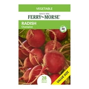 Ferry-Morse Value Pack Radish Champion Vegetable Plant Seeds Packet - Seed Gardening, Full Sunlight