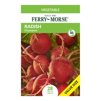 Ferry-Morse Value Pack Radish Champion Vegetable   Packet - Seed Gardening, Full Sunlight