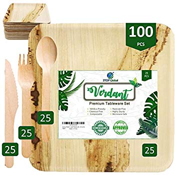 Disposable 100/% Natural Areca Palm leaf Plates Set For All Occasions